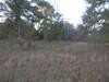 Lot 10 Hunters Way, Moultrie, GA 31788