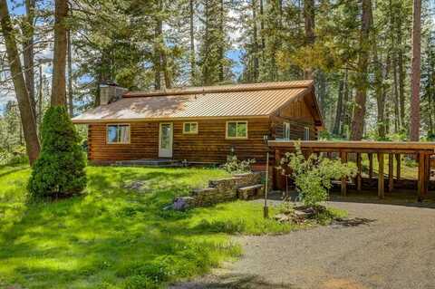 1255 S Samson Trail, McCall, ID 83638