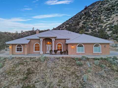 7800 Buena Vista Road, Wrightwood, CA 92372