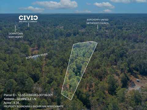 Lot 6 Seminole Ln, Sopchoppy, FL 32358