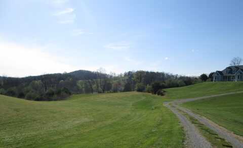 Lot 4 Scenic WAY, Buchanan, VA 24066