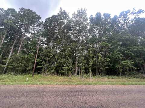 Tract 57 FM RD 1751, San Augustine, TX 75972