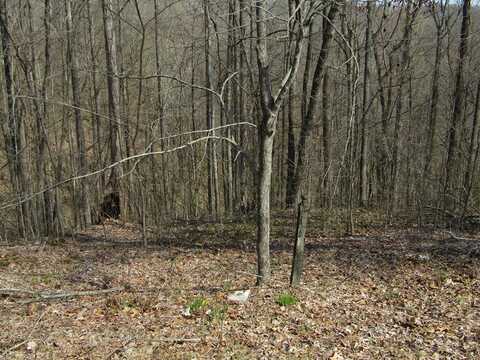 Lot 28 Hunters S Landing Lane, SMITHVILLE, TN 37166