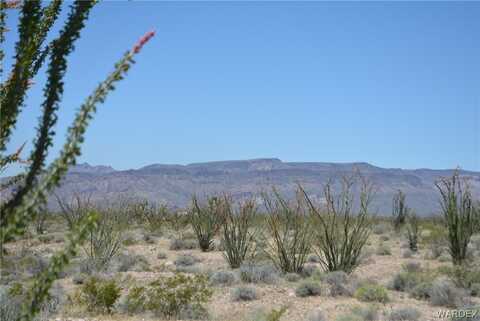 F12 S Red Lake Road, Yucca, AZ 86438