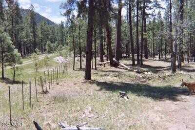 17 N 2326 --, Alpine, AZ 85920