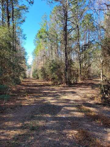 County Road 4110, Call, TX 75933