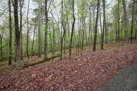 Lot 24 Novato Lane, Hot Springs, AR 71909