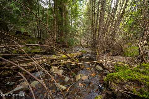 Nka Evans Creek Road, Medimont, ID 83842