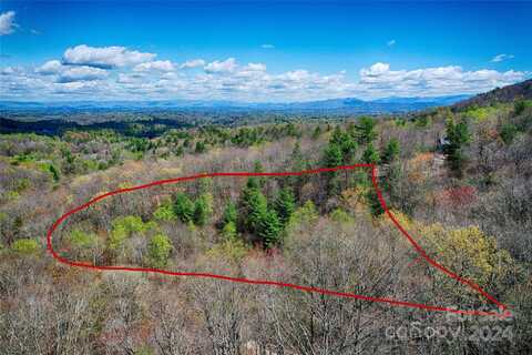 99999 High Top Mountain Drive, Leicester, NC 28748