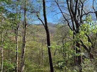 7a Chestnut Flats Lane, Waynesville, NC 28786