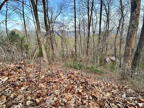 Lot 6 Biltmore Circle, Bryson City, NC 28713