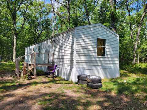 11578 N Dexter Road, Irons, MI 49644