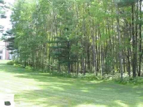 0 White Pine Drive, Cadillac, MI 49601