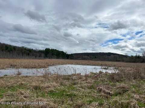 Erhardt Road, Dalton, PA 18414