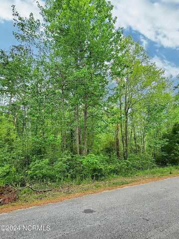 409 Cherry Branch Drive, Havelock, NC 28532