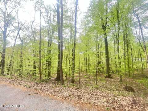 215 Redwood Drive, Dandridge, TN 37725