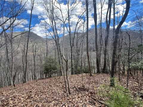 Lot 4 Watoga Crossing, Hillsboro, WV 24946