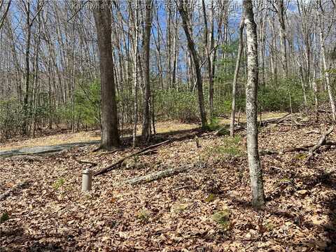 Lot 4 Watoga Crossing, Hillsboro, WV 24946