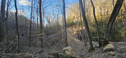 010 Soul Canyon Hideaways, Zoe, KY 41397