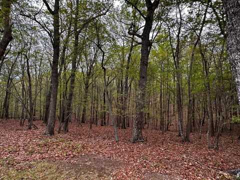 7-Lot Lochwood Avenue, Huddleston, VA 24104