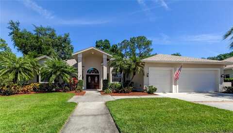 16307 COLWOOD DRIVE, ODESSA, FL 33556
