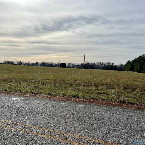 Lot 22 County Road 1970, Mentone, AL 35984