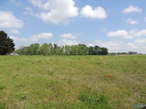 Lot 20 Ripley Road, Athens, AL 35611