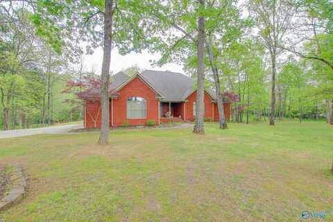 1601 County Road 345, Decatur, AL 35603