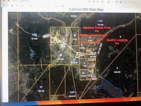 County Road 369, Calhoun City, MS 38916