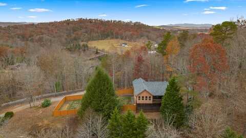 256 Mountain Hideaway Drive, Blue Ridge, GA 30513