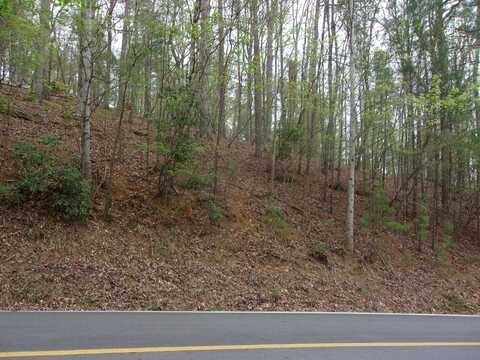 2090r Newport Dr (Lot), Ellijay, GA 30540