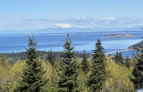 Lot 15 High View Way, Sequim, WA 98382