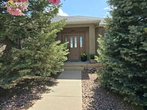 5880 Filly Lane, Black Forest, CO 80908