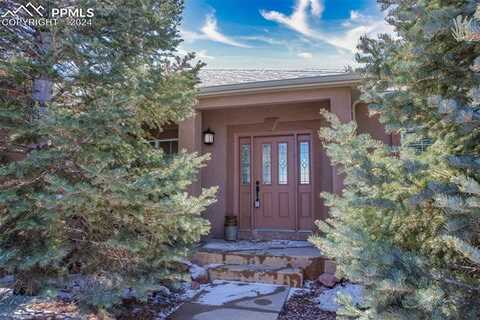 5880 Filly Lane, Black Forest, CO 80908