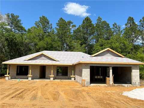 9439 N Athenia Drive, Citrus Springs, FL 34434