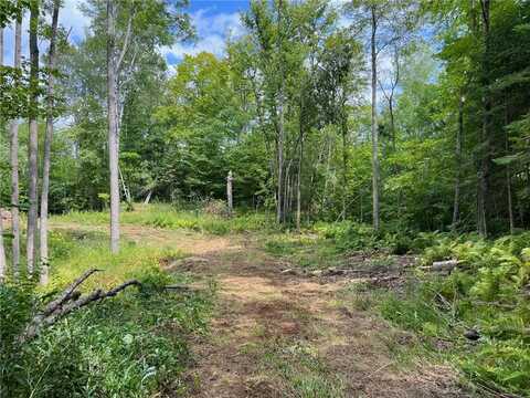 Tbd Tioga Hills Rd, Cohasset, MN 55721