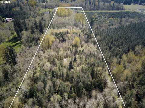 9701 NE 299th, Battle Ground, WA 98604