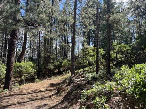 Tbd Serenity Dr, Chama, NM 87520