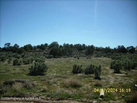 X ROAD 2947, Aztec, NM 87410