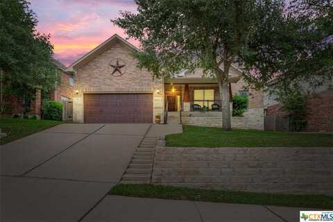 423 S Lynnwood Trail, Cedar Park, TX 78613