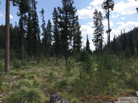 5b Kokopelli Drive, GIBBONSVILLE, ID 83463