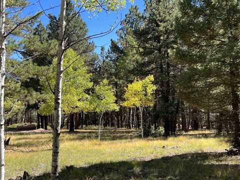 Lot 25A Alpine Lake Terrace, Angel Fire, NM 87710