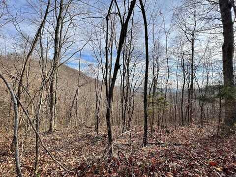 39.2ac Squirrel Flat Rd, Jamestown, TN 38556