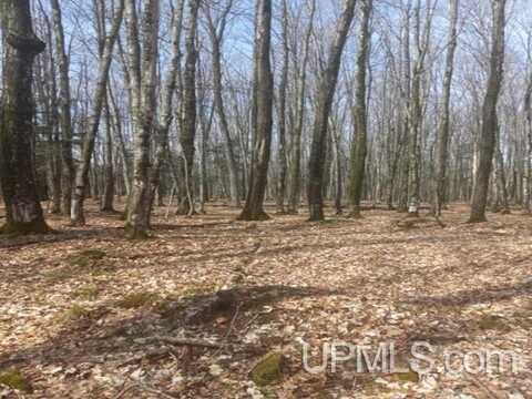 48 Acres CR KK (Huron Mountain Club Rd), Big Bay, MI 49808