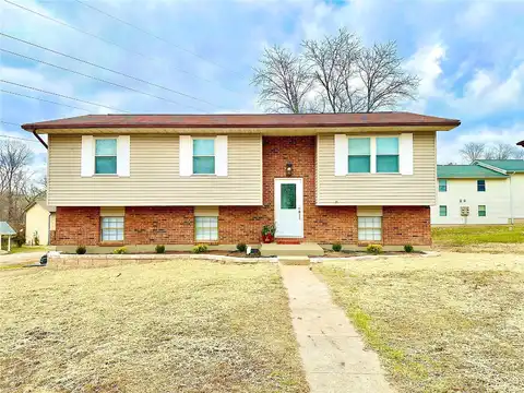 Swan, PARK HILLS, MO 63601