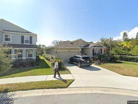 Candleberry, TAMPA, FL 33635
