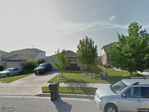 Rosehip, PFLUGERVILLE, TX 78660