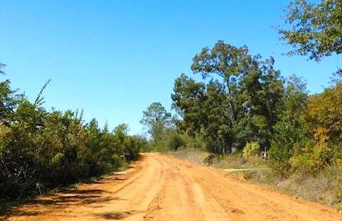 Big Creek, MEIGS, GA 31765