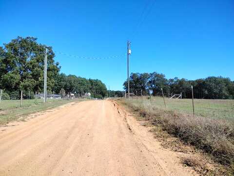 Firetower, STAPLETON, GA 30823