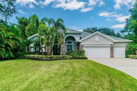 Main, SAFETY HARBOR, FL 34695